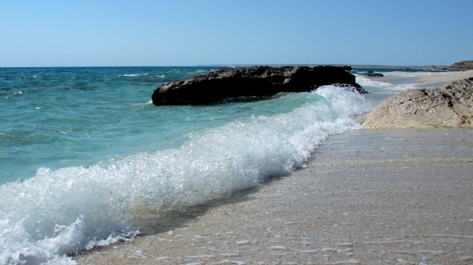 Qazaxıstan Xəzər dənizinin problemlərinin tədqiqinə böyük məbləğdə vəsait ayırdı