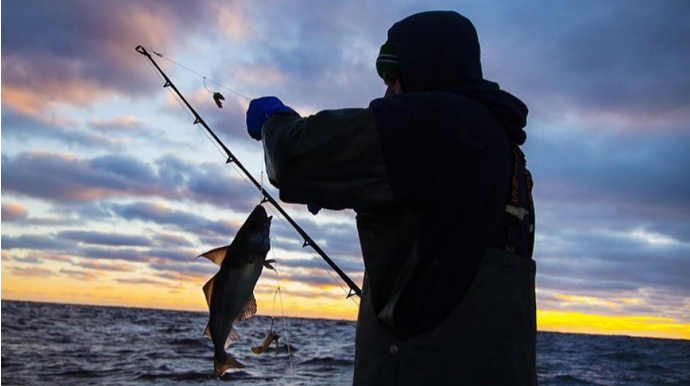 Qanunsuz balıq ovu ilə məşğul olan şəxslər SAXLANILDI 
