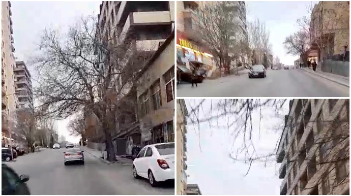 Bu küçədə ağaclar avtobusların hərəkətinə əngəl törədir - Sürücülər əks yola çıxırlar - VİDEO