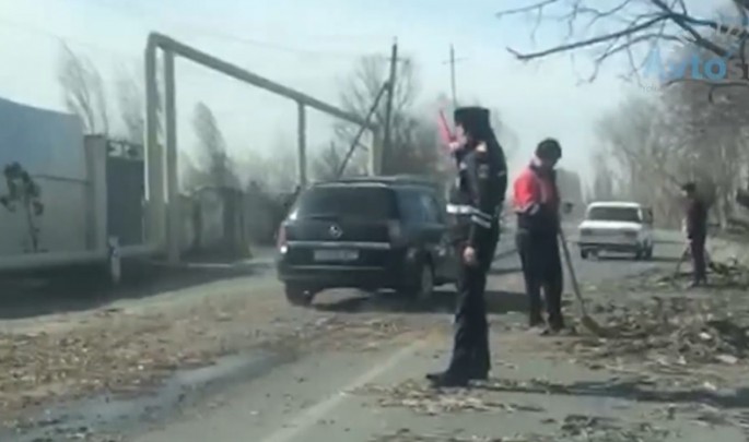 Güclü külək ağacı yola aşırdı: yol polisi əraziyə cəlb edildi - VİDEO