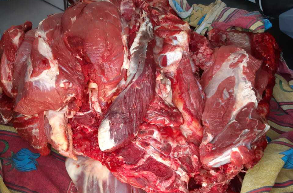 Şəmkirdə 58 kq mənşəyi məlum olmaya ətin satışının qarşısı alınıb - FOTO