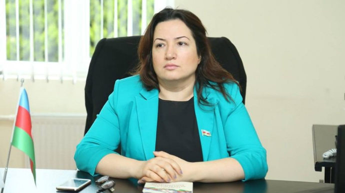 Azərbaycan dövlətinin güclü iradəsi, güclü ordusu, sarsılmaz mili birliyi var - Pərvin Kərimzadə