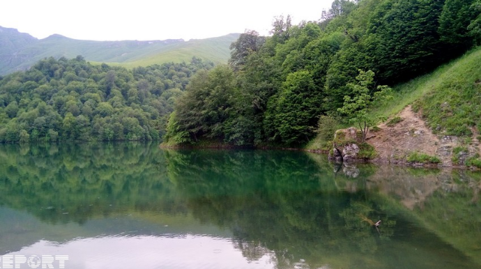Azərbaycanda çoban heyvanı xilas edərkən göldə boğuldu
