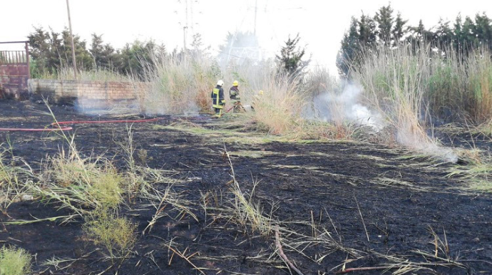 Sumqayıtda otluq sahədə yanğın olub - FOTO 