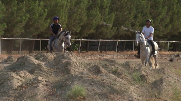 Bakı Cıdır Meydanında biabırçı vəziyyət...  - VİDEO