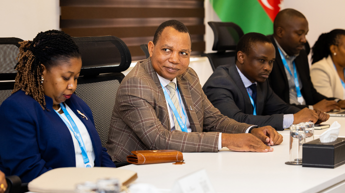 İRİA Afrika ölkələrinin nümayəndə heyətləri ilə görüş keçirdi - FOTOLAR 