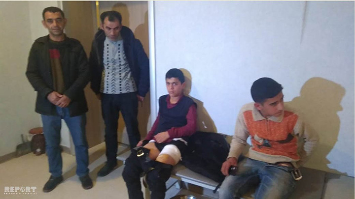 Lənkəranda canavar yeniyetmələrə hücum edərək xəsarət yetirib - FOTO