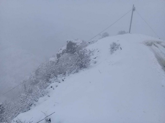 Lerikin yuxarı ərazilərində qar fəsadlar törədib – FOTO