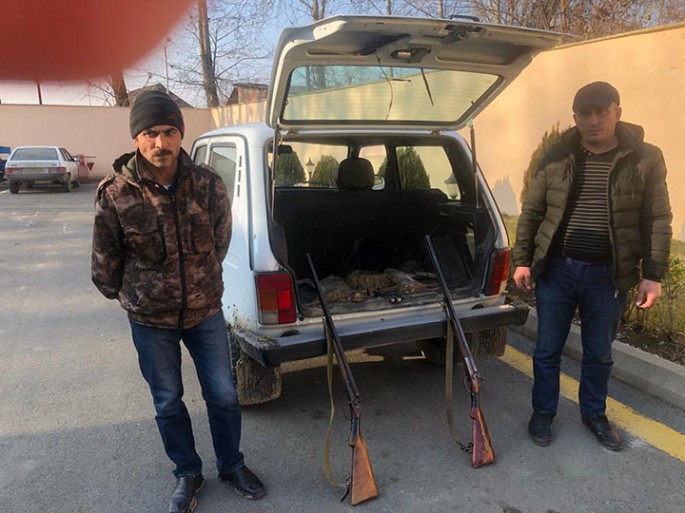 İsmayıllıda qanunsuz ov edən şəxslər saxlanılıblar - FOTO