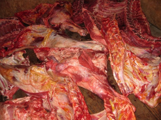 Həyətdə və “Qazel”də mənşəyi məlum olmayan ət aşkarlandı