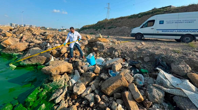 Böyükşor gölünün yaşıla bürünməsinin səbəbi AÇIQLANDI