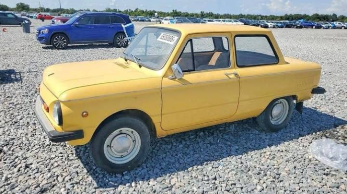 500 dollara təklif olunan “Zapı” 9200-ə satıldı 