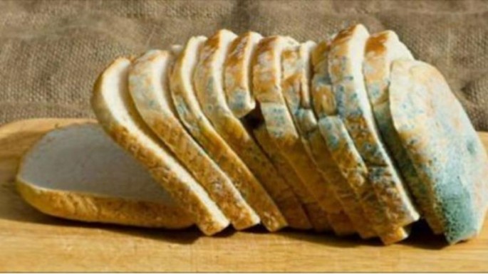 Müasir bəşəriyyətin ən dəhşətli kəşflərindən biri