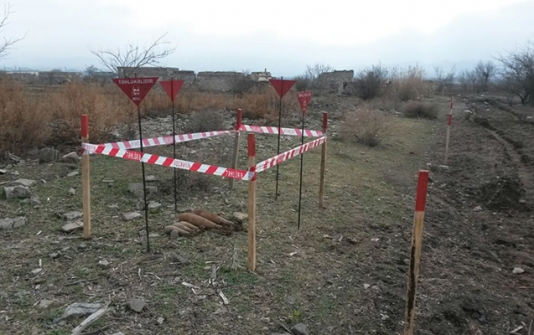 Cocuq Mərcanlıda iş başladı - FOTO