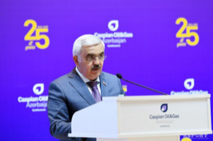 Azərbaycan Cənub Qaz Dəhlizinin aparıcı qüvvəsidir - VİDEO