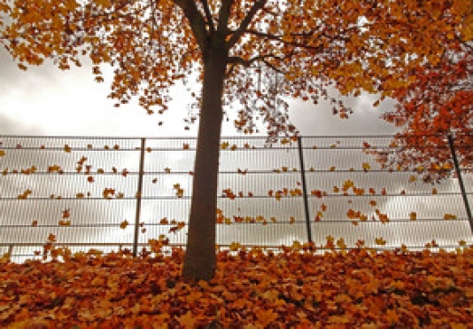 Bu günə olan hava proqnozu AÇIQLANDI