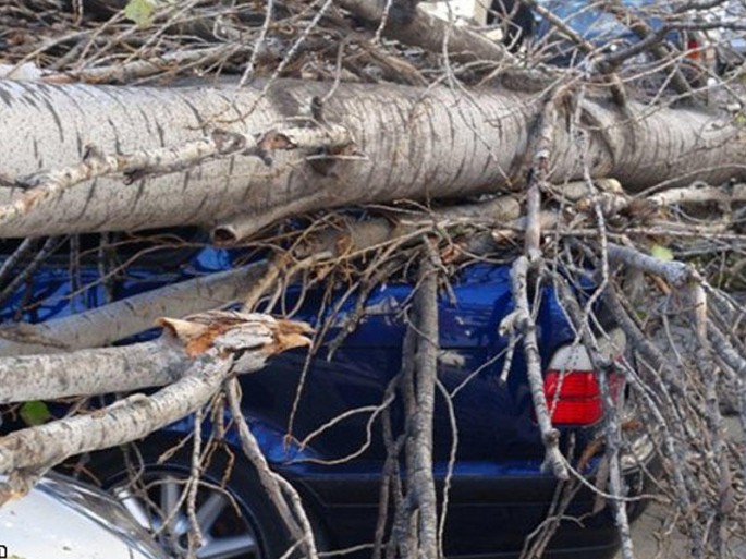 “Maşını burada saxlamayın” - Meriyadan xəbərdarlıq