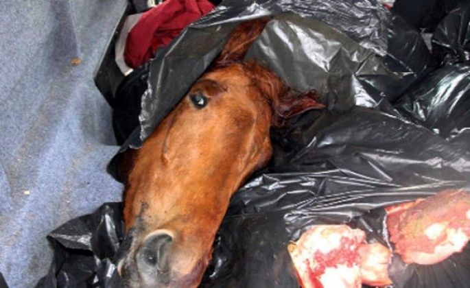 Polis “Qazel”dən 180 kilo at əti aşkarladı