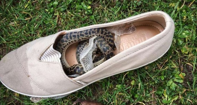 İlan təyyarədə bütün dünyanı fırlandı