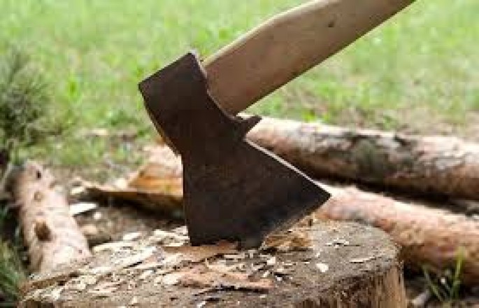 Füzulidə 17 qovaq ağacı kəsilib