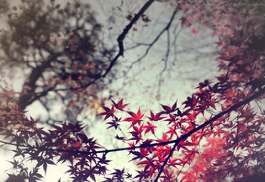 Bu günə olan hava proqnozu AÇIQLANDI