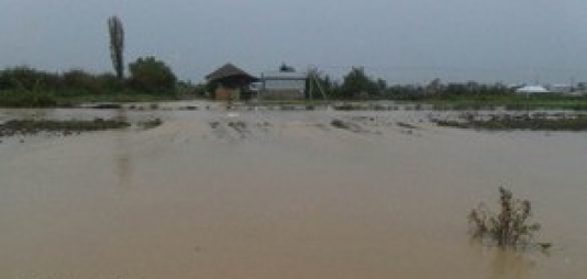 Cəlilabadda su bəndi dağılıb, Ələt-Astara magistral yolu bağlanıb