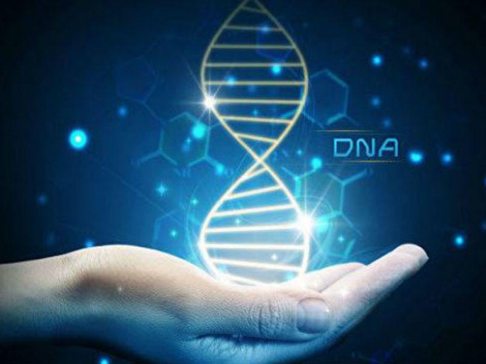 Gecə işi sağlamlığa təhlükəlidir - Alimlərdən xəbərdarlıq