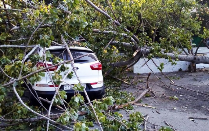 Külək damları uçurdu, maşınları zədələdi - Ziyanı kim ödəyəcək?