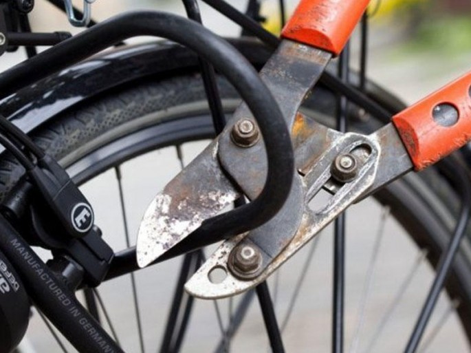 25 yaşlı azərbaycanlı Almaniyada onlarla velosiped oğurladı