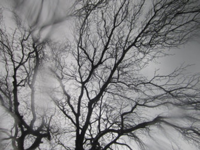 Bu günün hava proqnozu açıqlanıb