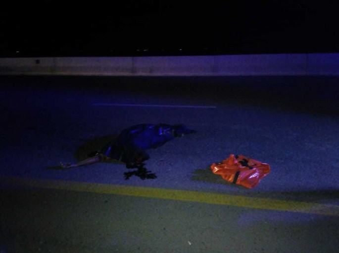 Hacıqabulda sərnişin avtobusu piyadanı vuraraq öldürüb - FOTO