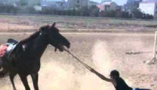 Gəncədə 8 yaşlı uşaq atdan yıxılıb ölüb