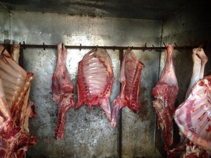 DİQQƏT: Bu ərazilərdə at əti satılır