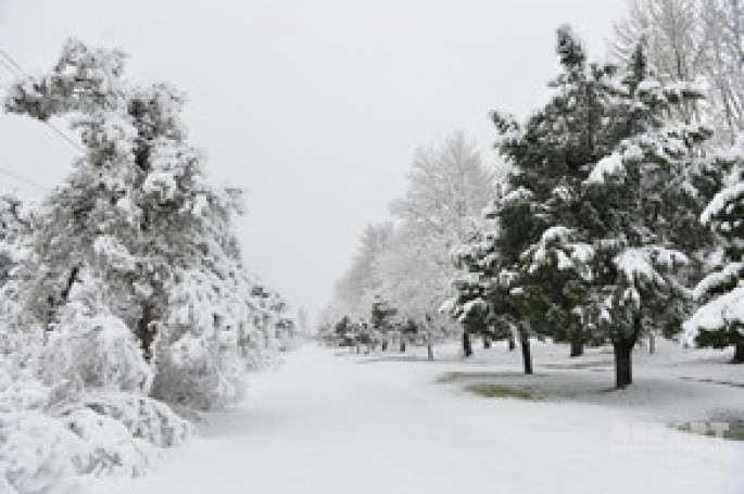 Səhərədək müşahidə olunmuş faktiki hava AÇIQLANIB