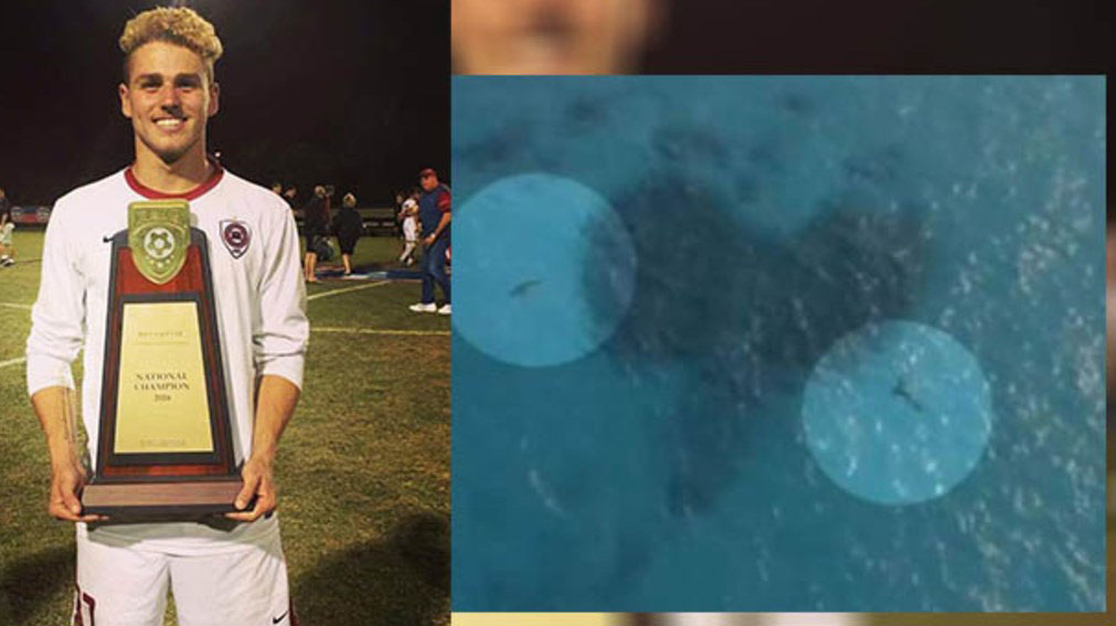 Almaniyalı futbolçunu köpək balıqları yedi - FOTO