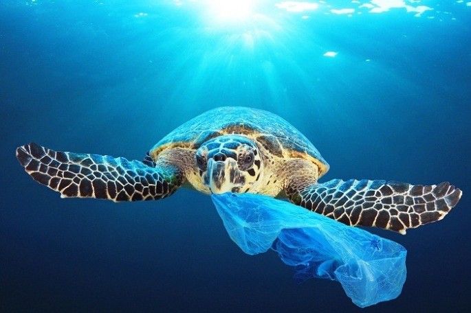 2021-ci ildən plastik qabların istifadəsi qadağan ediləcək