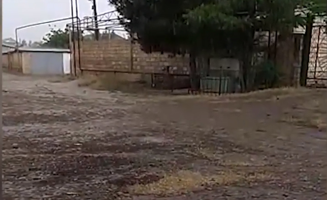 Salyanda dolu yağıb - VİDEO