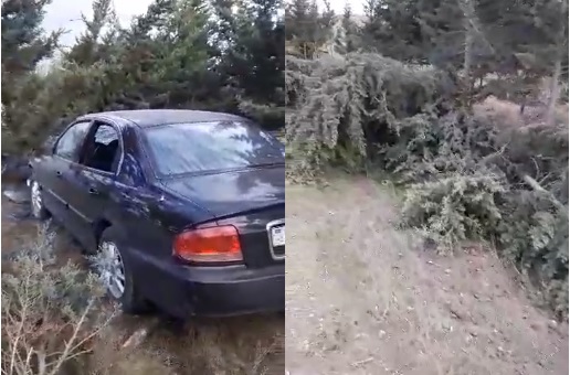 Xanım sürücü şamlığa girdi: 20 ağacı qopardı - BAKIDA - VİDEO