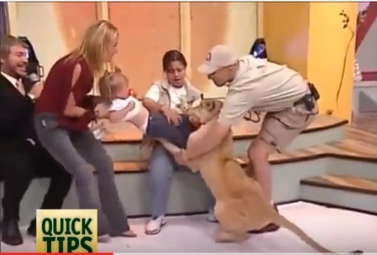 Canlı yayımda şir uşağa hücum etdi – VİDEO