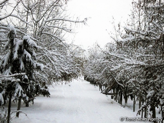 Qışın kiçik çiləsi başlayır – Sabahdan