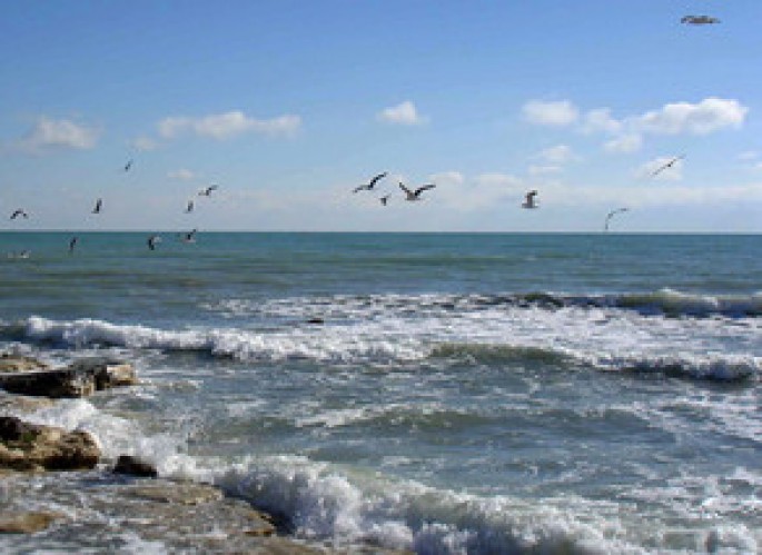 Xəzər dənizində gəmilərin yoxlanması prinsipi dəyişəcək