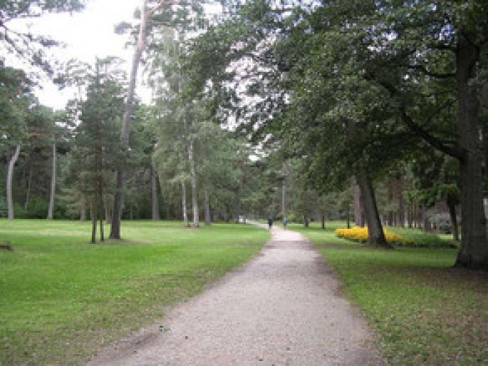 Orta yaşlı kişi ölümcül döyülüb - Mərkəzi Nəbatət Bağında