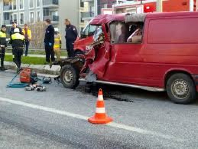 Sürücü iti vurmamaq üçün qəza törətdi: özü də öldü, it də - VİDEO