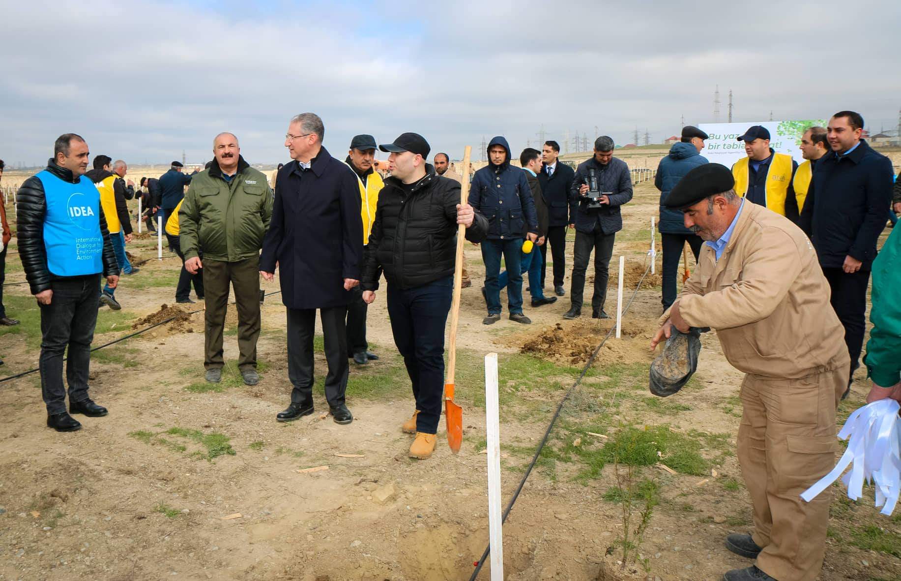 BNA ağacəkmə kampaniyası keçirilib - FOTO