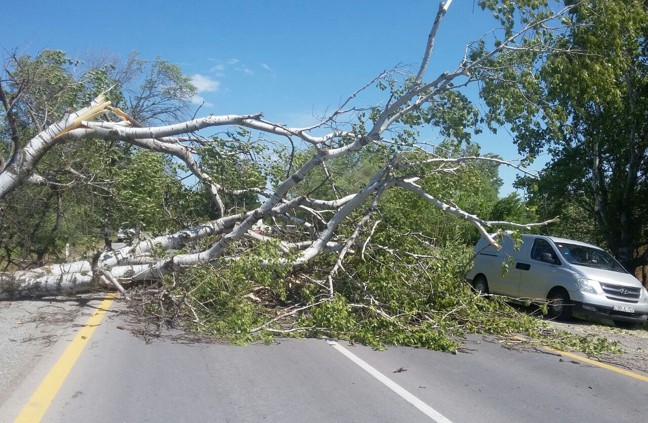 Bakı-Şamaxı-Yevlax magistralı güclü külək səbəbi ilə bağlanıb - FOTO