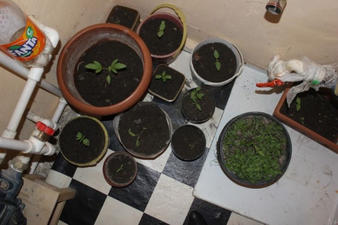 Qubada narkotacirlər saxlanılıb - FOTO