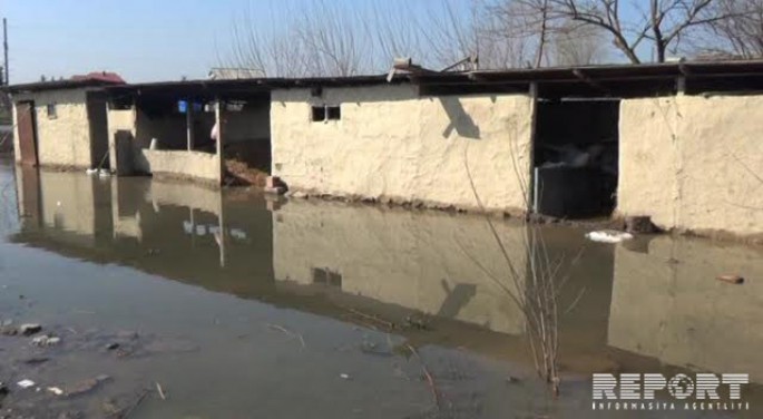 Cəlilabadda qrunt suları problemlər yaradıb - FOTO