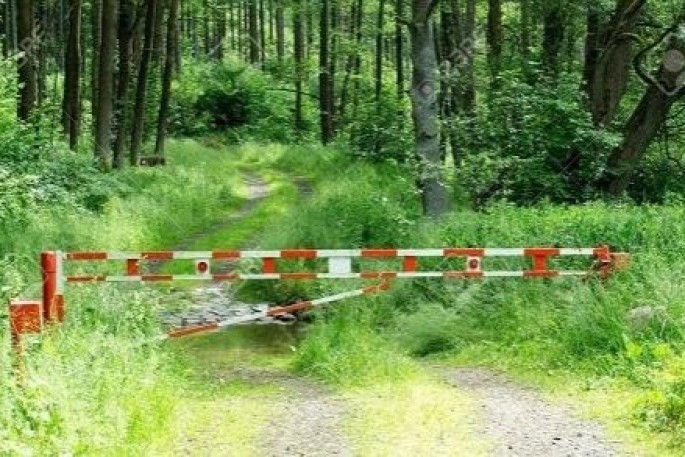 Meşələrin qorunmasında yenilik: Şlaqbaum, kamera... - VİDEO