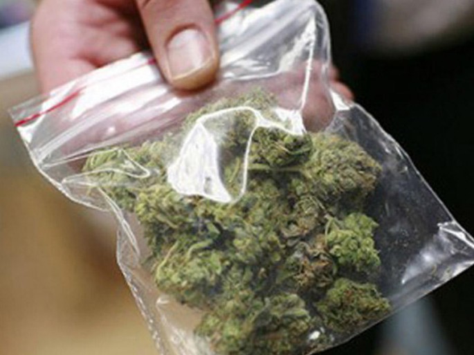 Maşınla Azərbaycana narkotik keçirmək istədi - İtə yaxalandı