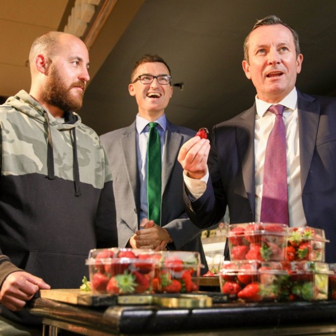 Polis meyvələrə iynə sancan yeniyetməni həbs edib